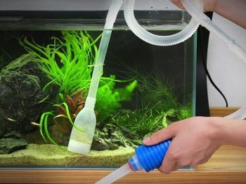 Changing aquarium Water