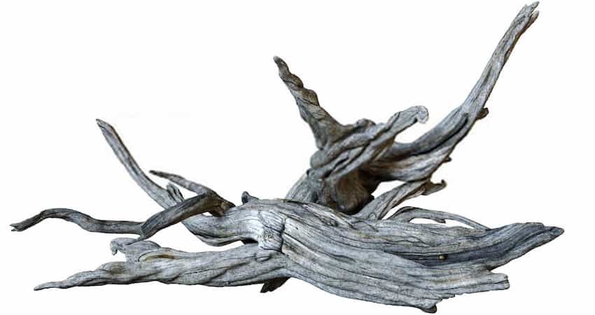 Things of benefit that inspires boiling driftwood for your Aquarium
