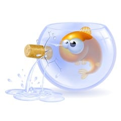 Let's know to repair a leaky aquarium with 7 significant steps!