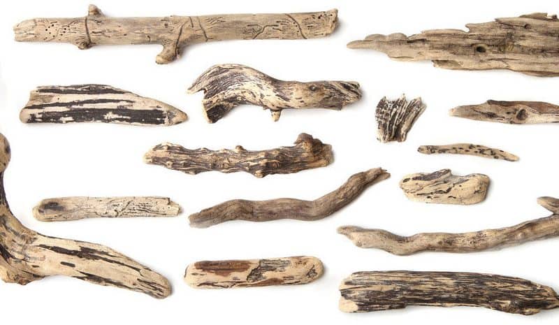 Which driftwood is ideal for Aquarium