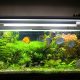 best light spectrum for aquarium plants