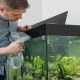 how to introduce new fish to an aquarium