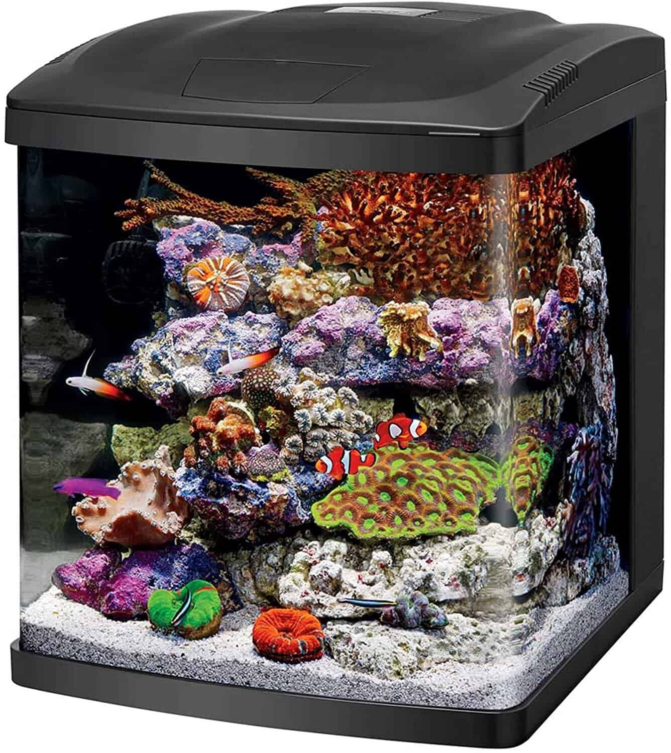 Coralife LED Biocube Aquarium LED
