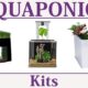 best aquaponics aquarium kits