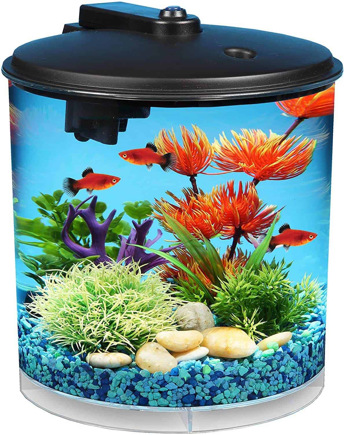 best aquarium starter kit