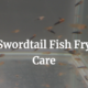 Swordtail Fish Fry Care